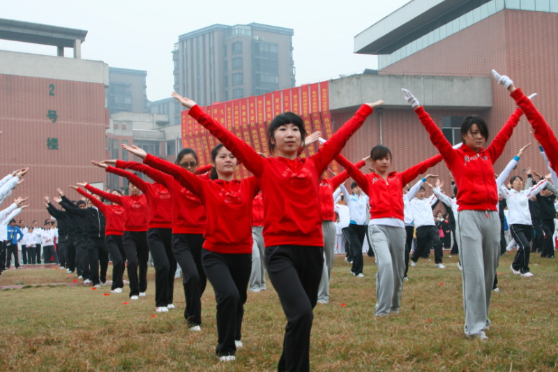 特马开什么号